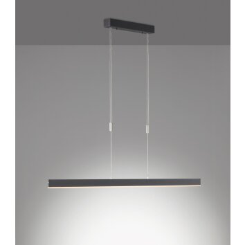 SCHÖNER-WOHNEN-Kollektion Straight Lampa Wisząca LED Czarny, 1-punktowy