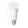 Philips Hue White LED E27 15,5 Wat 2200 - 6500 Kelwinów 1100 Lumenów