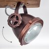 Herford Lampa Sufitowa Ciemne drewno, Rdzawy, 4-punktowe