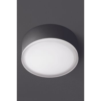 LCD Grasbrunn Lampa Sufitowa zewnętrzna LED Czarny, 1-punktowy