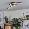 Rheinfelden Lampa Sufitowa LED Czarny, 1-punktowy