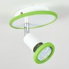 Cabri Lampa Sufitowa LED Chrom, Zielony, Biały, 1-punktowy