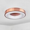 Sachseln Lampa Sufitowa LED Biały, 1-punktowy