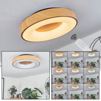 Sachseln Lampa Sufitowa LED Czarny, 1-punktowy