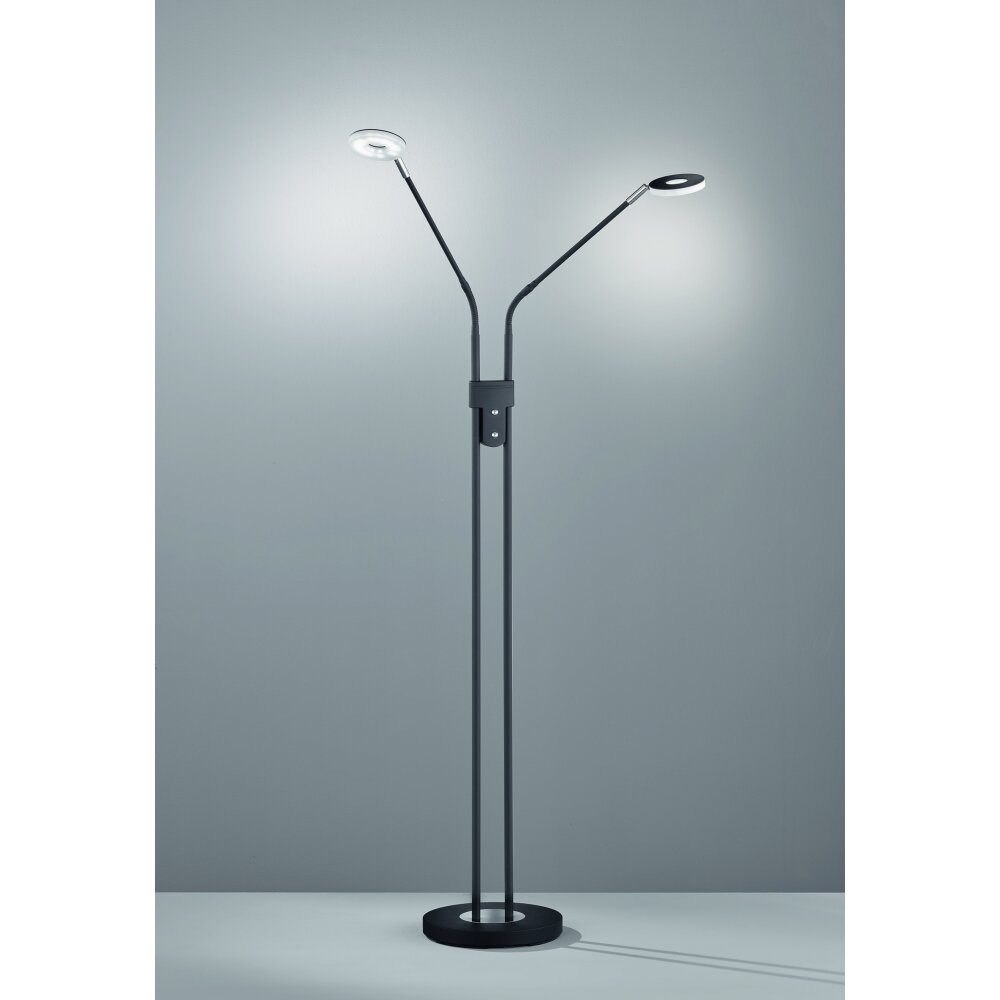 Fischer & Honsel Dent Lampa Stojąca LED Czarny, 2-punktowe main product photo