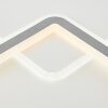 Brilliant Savare Lampa Sufitowa LED Szary, Biały, 1-punktowy, Zdalne sterowanie