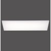 Paul Neuhaus FRAMELESS Lampa Sufitowa LED Biały, 1-punktowy, Zdalne sterowanie, Zmieniacz kolorów