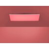 Paul Neuhaus FRAMELESS Lampa Sufitowa LED Biały, 1-punktowy, Zdalne sterowanie, Zmieniacz kolorów