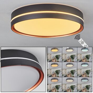 Cachalot Lampa Sufitowa LED Miedź, Czarny, 1-punktowy, Zdalne sterowanie, Zmieniacz kolorów