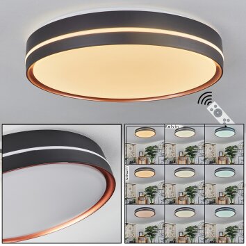 Cachalot Lampa Sufitowa LED Miedź, Czarny, 1-punktowy, Zdalne sterowanie, Zmieniacz kolorów