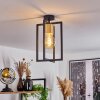 Bergo Lampa Sufitowa Czarny, 1-punktowy