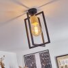Bergo Lampa Sufitowa Czarny, 1-punktowy