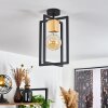 Bergo Lampa Sufitowa Czarny, 1-punktowy