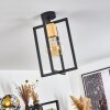 Bergo Lampa Sufitowa Czarny, 1-punktowy