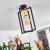 Bergo Lampa Sufitowa Czarny, 1-punktowy