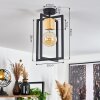 Bergo Lampa Sufitowa Czarny, 1-punktowy