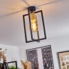 Bergo Lampa Sufitowa Czarny, 1-punktowy