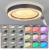 Zeballos Lampa Sufitowa LED Biały, 1-punktowy, Zdalne sterowanie, Zmieniacz kolorów