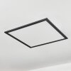 Wilderswil Lampa Sufitowa LED Biały, 1-punktowy