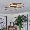 Lithgow Lampa Sufitowa LED Czarny, 2-punktowe, Zdalne sterowanie, Zmieniacz kolorów