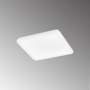 Fischer & Honsel Gotland Lampa Sufitowa LED W kolorze kremowym, Biały, 1-punktowy