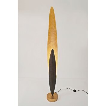 Holländer LINGUA lampa stojąca Brązowy, złoty, 1-punktowy