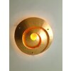 Holländer SNAIL ONE lampa sufitowa Złoty, 3-punktowe