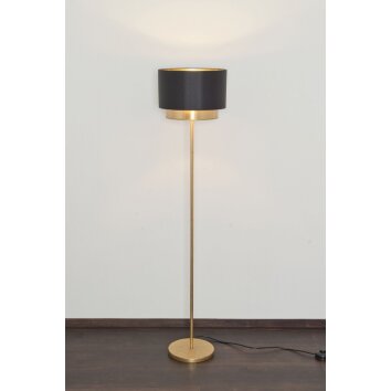 Holländer MATTIA lampa podłogowa Złoty, 1-punktowy