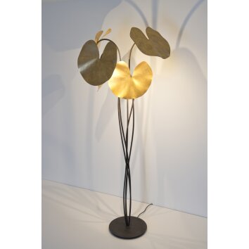 Holländer CONTROVERSIA Lampa Stojąca LED Brązowy, Złoty, Czarny, 5-punktowe