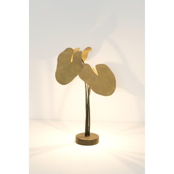 Holländer CONTROVERSIA Lampa stołowa LED Brązowy, Złoty, Czarny, 4-punktowe