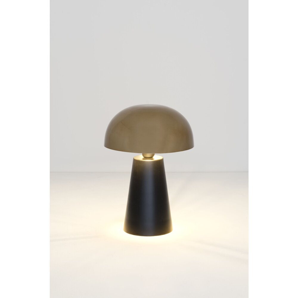Holländer FUNGO lampka nocna Złoty, Czarny, 1-punktowy main product photo