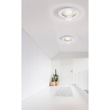 Grossmann FLAT Lampa ścienna LED Brązowy, Złoty, Biały, 1-punktowy