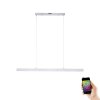 Paul Neuhaus Q-CORA Lampa Wisząca LED Aluminium, 1-punktowy, Zdalne sterowanie