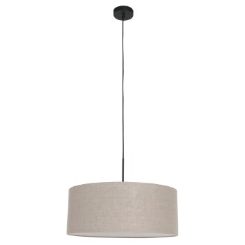 Steinhauer Sparkled Light Lampa Wisząca czarny, 1-punktowy