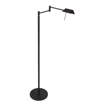 Steinhauer Retina Lampa Stojąca LED Czarny, 1-punktowy