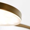 Steinhauer Platu Lampa Stojąca LED Brązowy, 1-punktowy