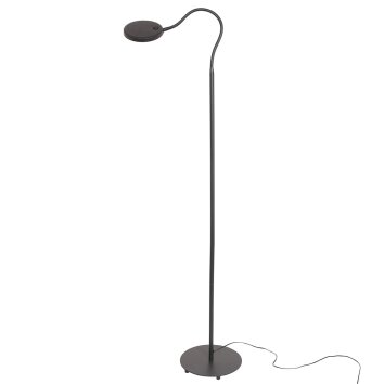 Steinhauer Platu Lampa Stojąca LED Czarny, 1-punktowy