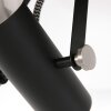 Steinhauer Acier Lampa Sufitowa czarny, 2-punktowe