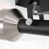 Steinhauer Acier Lampa Sufitowa czarny, 2-punktowe
