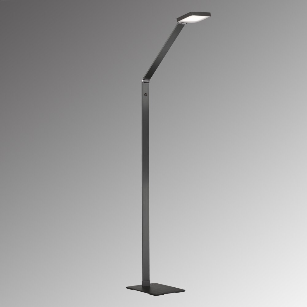 Fischer & Honsel Rike Lampa Stojąca LED Czarny, 1-punktowy main product photo