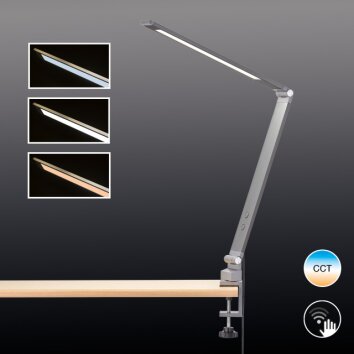 Fischer & Honsel Geri lampa z klipsem LED Antracytowy, 1-punktowy