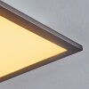 Ringuelet Lampa Sufitowa LED Czarny, Biały, 1-punktowy, Zdalne sterowanie