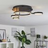Carrisito Lampa Sufitowa LED Czarny, 1-punktowy