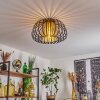 Dudignac Lampa Sufitowa Czarny, 1-punktowy