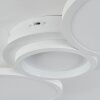 Carabajal Lampa Sufitowa LED Biały, 1-punktowy