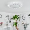 Solanet Lampa Sufitowa LED biały, 1-punktowy, Zdalne sterowanie, Zmieniacz kolorów