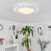 Solanet Lampa Sufitowa LED biały, 1-punktowy, Zdalne sterowanie, Zmieniacz kolorów
