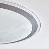 Gorgonta Lampa Sufitowa LED Biały, 2-punktowe, Zdalne sterowanie, Zmieniacz kolorów