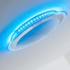 Vittangi Lampa Sufitowa LED biały, 1-punktowy, Zmieniacz kolorów
