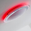 Vittangi Lampa Sufitowa LED biały, 1-punktowy, Zmieniacz kolorów